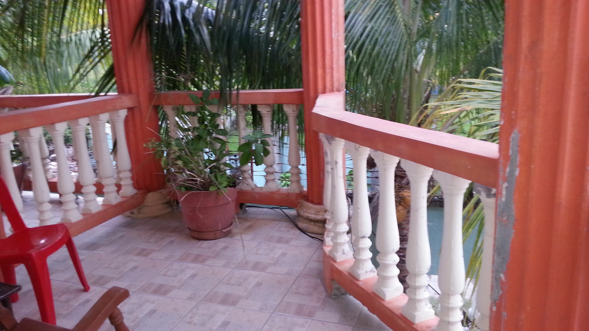 La Delphina Bed&Breakfast Bar&Grill La Ceiba Exterior foto